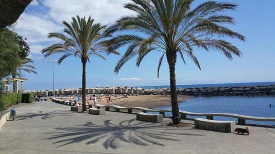 Villa Casa Ventura à Arco da Calheta  Extérieur photo