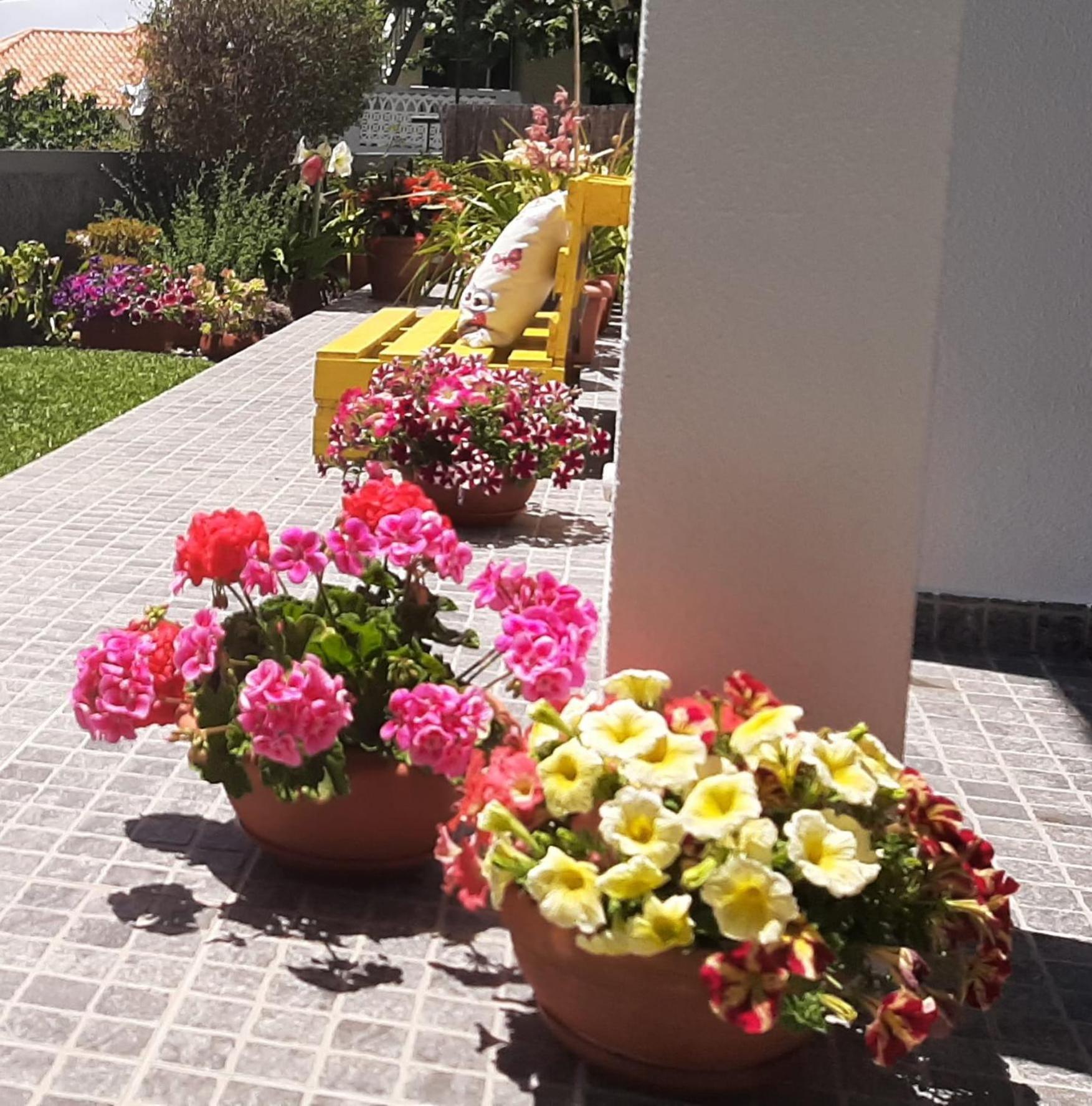 Villa Casa Ventura à Arco da Calheta  Extérieur photo