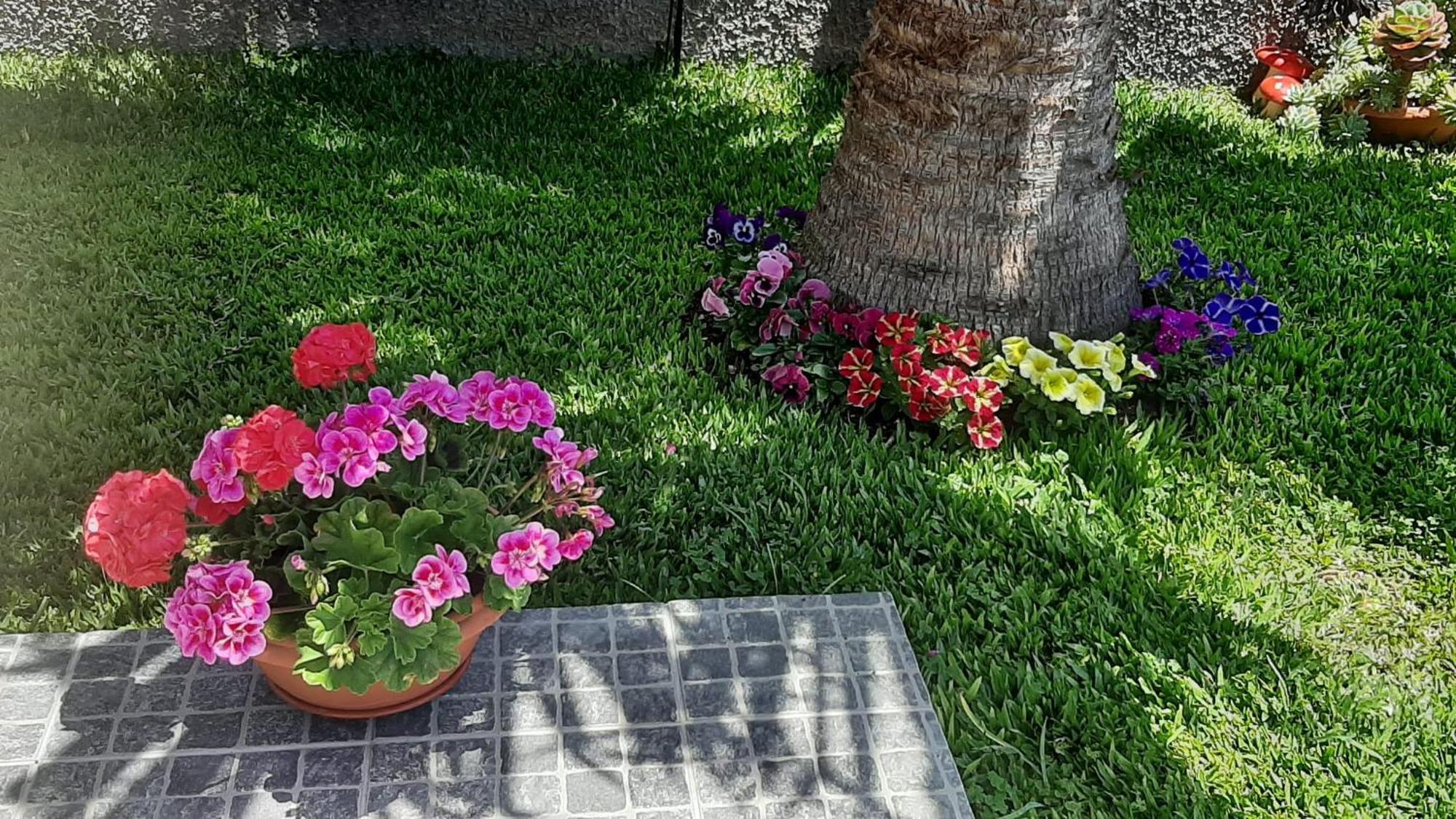 Villa Casa Ventura à Arco da Calheta  Extérieur photo